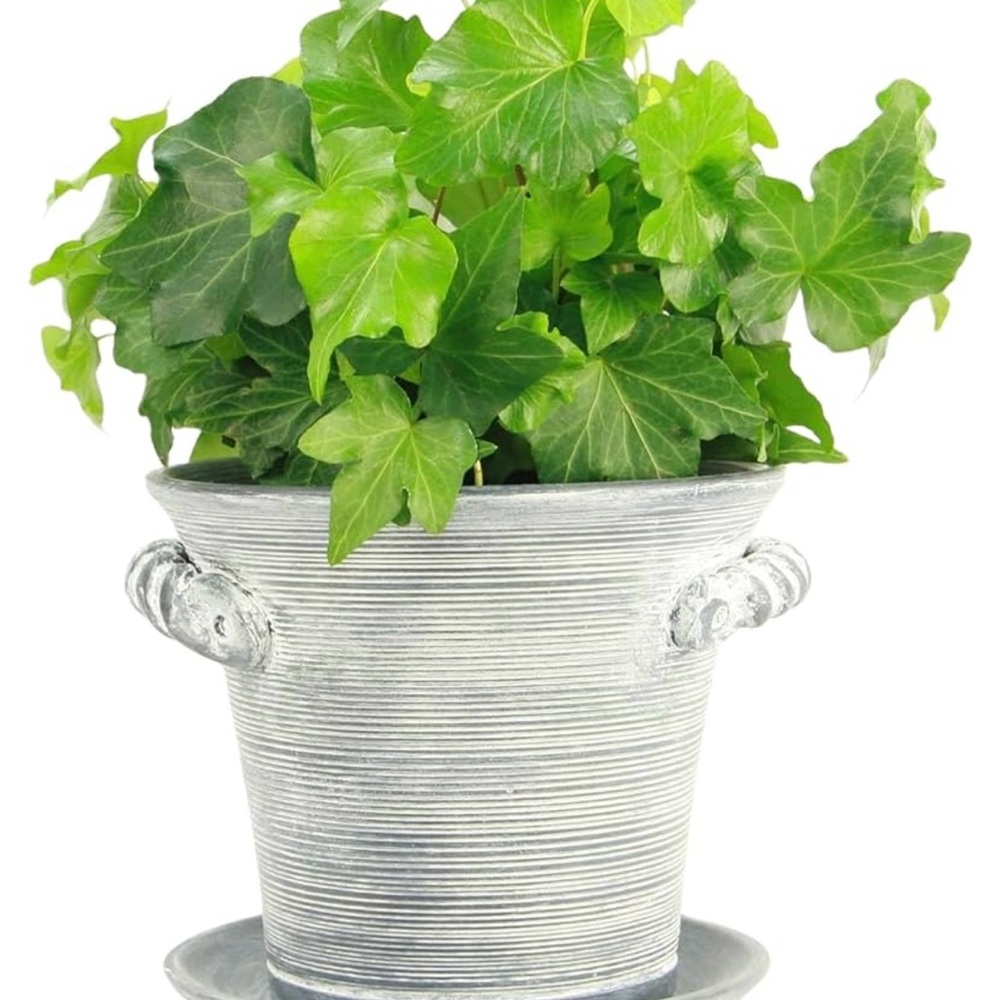 Whitewash Gray Ceramic Planter
